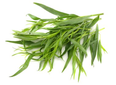 Tarragon (Artemisia dracunculus) beyaz arkaplanda izole edildi