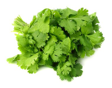 Demet taze kişniş izole üzerinde beyaz arka plan bırakır. Coriandrum sativum. kişniş