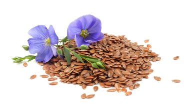 flax seeds with flower isolated on white background. flaxseed or linseed. Cereals. clipart