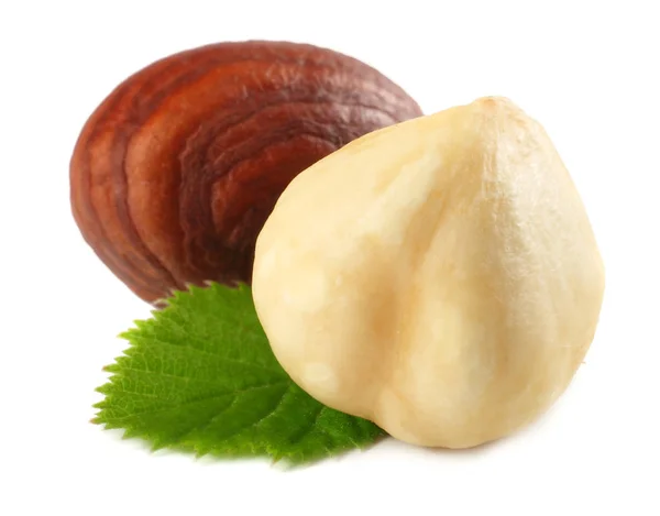 Lískové Ořechy Listy Izolované Bílém Pozadí Makro — Stock fotografie