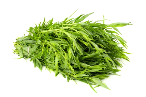 Daun Tarragon Artemisia Dracunculus Terisolasi Pada Latar Belakang Putih — Stok Foto