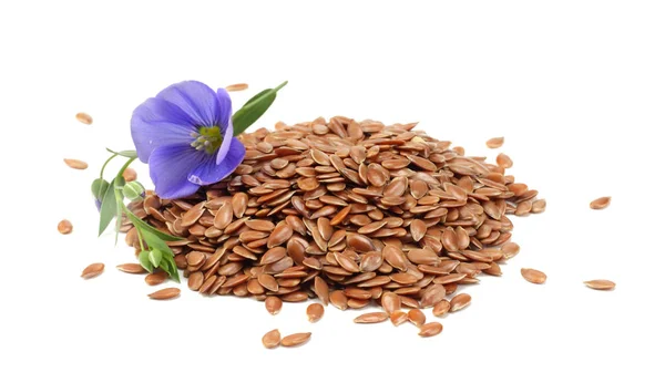 Flax Seeds Flower Isolated White Background Flaxseed Linseed Cereals — Stock Photo, Image