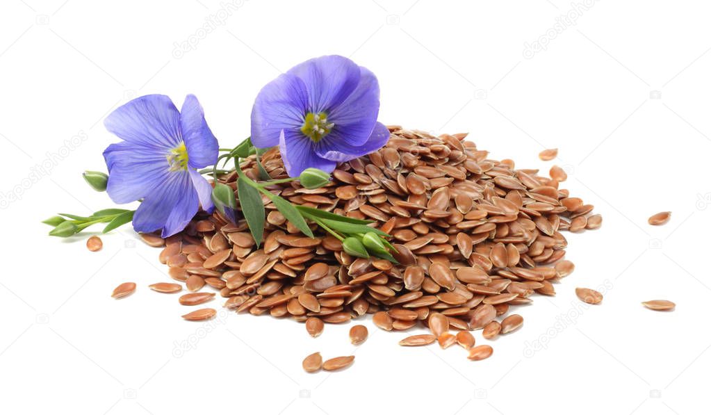 flax seeds with flower isolated on white background. flaxseed or linseed. Cereals.