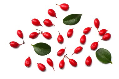 fresh barberry isolated on a white background top view clipart