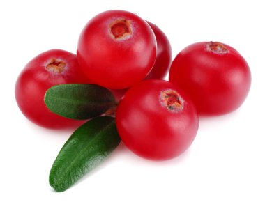 Kızılcık yaprakları üzerinde beyaz izole ile. Kırpma yoluyla. makro