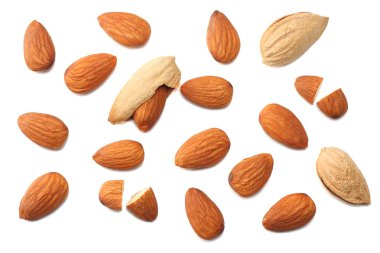 Beyaz arkaplan görünümünde izole bademler