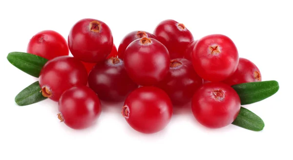 Cranberry Com Folhas Isoladas Branco Com Caminho Recorte Macro — Fotografia de Stock