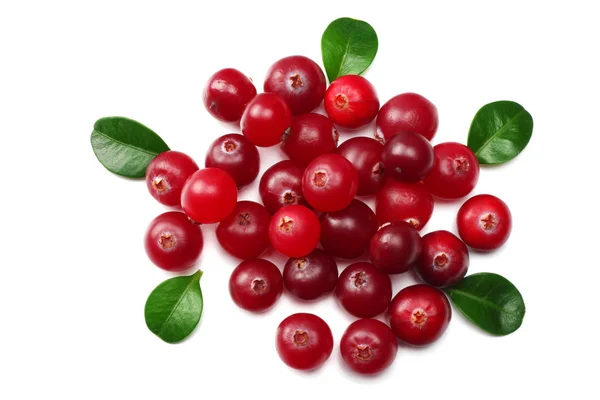 Cranberry Isolated White Clipping Path Full Depth Field Top View — Stock Photo, Image