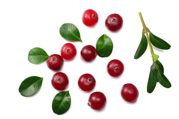 Cranberry Com Folhas Verdes Isoladas Fundo Branco Vista Superior — Fotografia de Stock