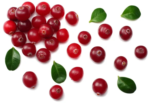 Cranberry Dengan Daun Hijau Terisolasi Dengan Latar Belakang Putih Tampilan — Stok Foto