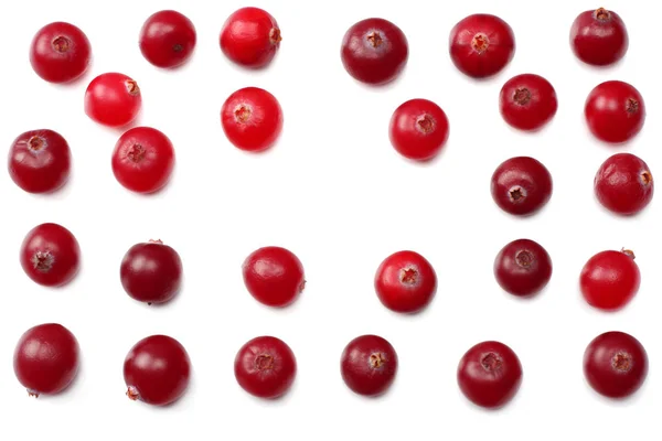 Cranberry Isolated White Clipping Path Full Depth Field Top View — Stock Photo, Image