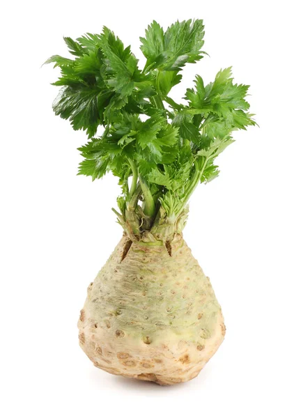 Celer Listy Izolované Bílém Pozadí Celer Izolované Bílém Zdravé Jídlo — Stock fotografie