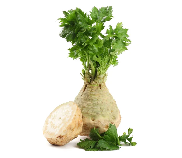 Celer Listy Izolované Bílém Pozadí Celer Izolované Bílém Zdravé Jídlo — Stock fotografie