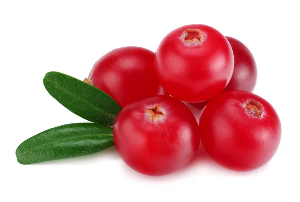 Cranberry Met Bladeren Wit Wordt Geïsoleerd Met Uitknippad Macro — Stockfoto