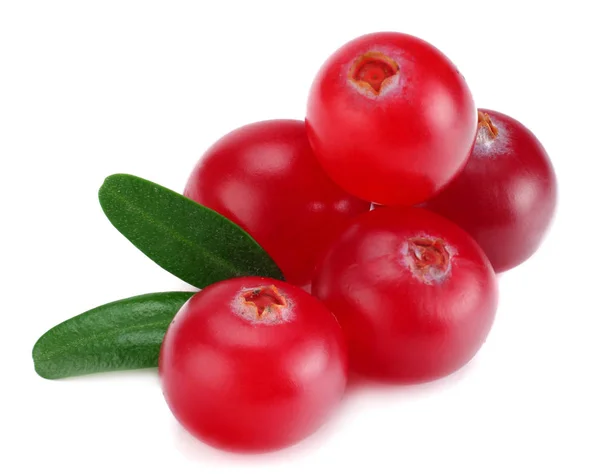 Cranberry Dengan Daun Terisolasi Atas Putih Dengan Jalan Pintas Makro — Stok Foto