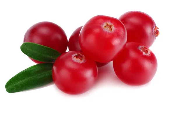 Cranberry Met Bladeren Wit Wordt Geïsoleerd Met Uitknippad Macro — Stockfoto