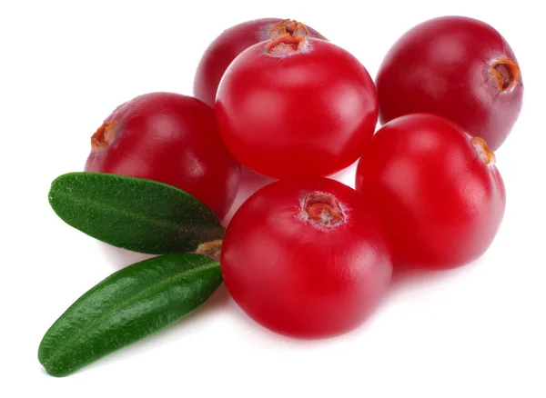Cranberry Dengan Daun Terisolasi Atas Putih Dengan Jalan Pintas Makro — Stok Foto