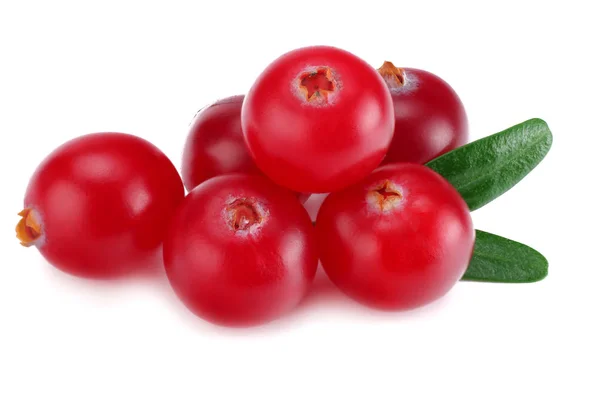 Cranberry Met Groene Bladeren Geïsoleerd Witte Achtergrond — Stockfoto