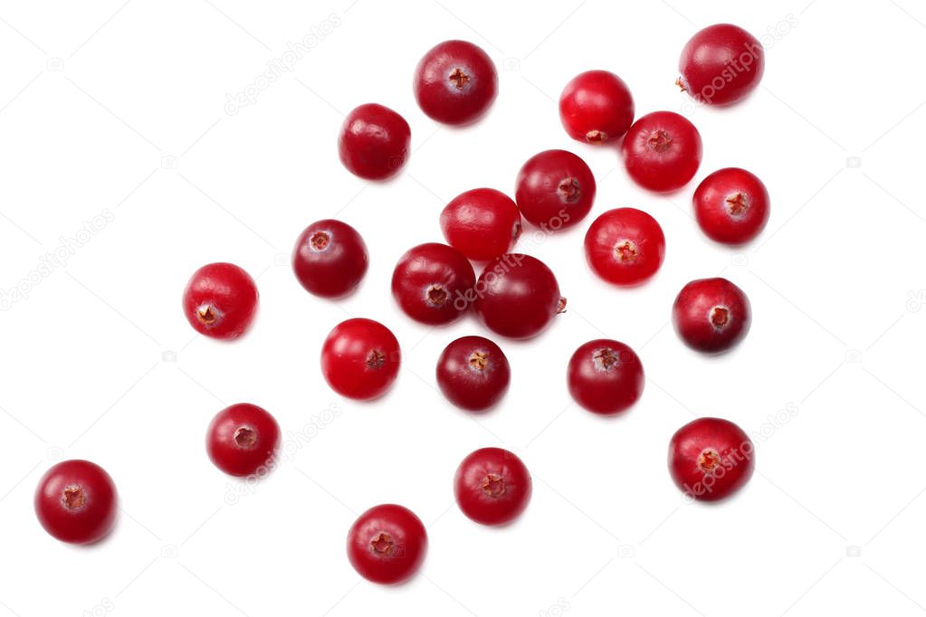 Cranberry isolated on white. With clipping path. Full depth of field. top view