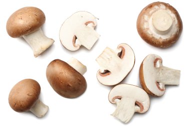 Taze champignon izole üzerinde beyaz arka plan mantar. üstten görünüm