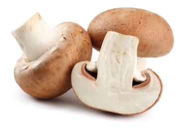 Beyaz arka planda izole edilmiş taze şampiyon mantarları