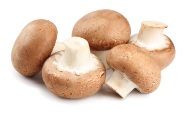 Beyaz arka planda izole edilmiş taze şampiyon mantarları