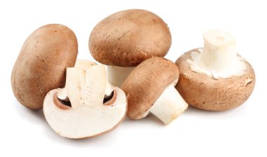 Beyaz arka planda izole edilmiş taze şampiyon mantarları