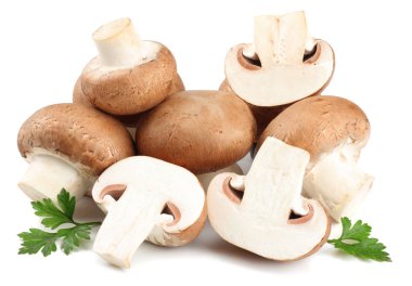 Beyaz arka planda izole edilmiş taze şampiyon mantarları