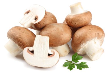 Beyaz arka planda izole edilmiş taze şampiyon mantarları