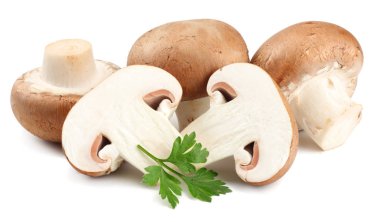 Beyaz arka planda izole edilmiş taze şampiyon mantarları