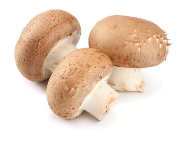 Taze champignon izole üzerinde beyaz arka plan mantar. üstten görünüm