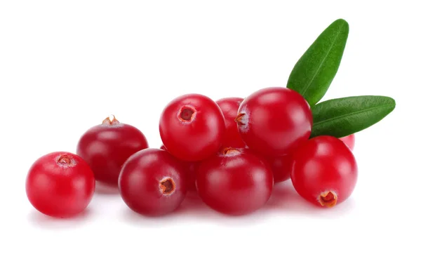 Cranberry Com Folhas Isoladas Branco Com Caminho Recorte Profundidade Total — Fotografia de Stock