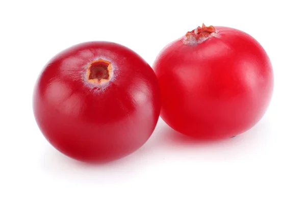 Cranberry Diisolasi Dengan Warna Putih Dengan Jalan Pintas Kedalaman Penuh — Stok Foto