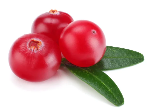 Cranberry Dengan Daun Terisolasi Atas Putih Dengan Jalan Pintas Kedalaman — Stok Foto