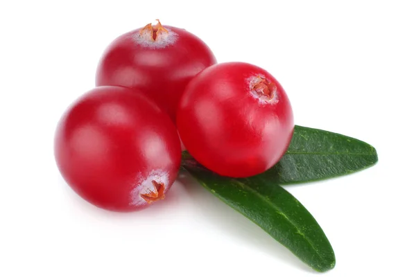 Cranberry Dengan Daun Terisolasi Atas Putih Dengan Jalan Pintas Kedalaman — Stok Foto