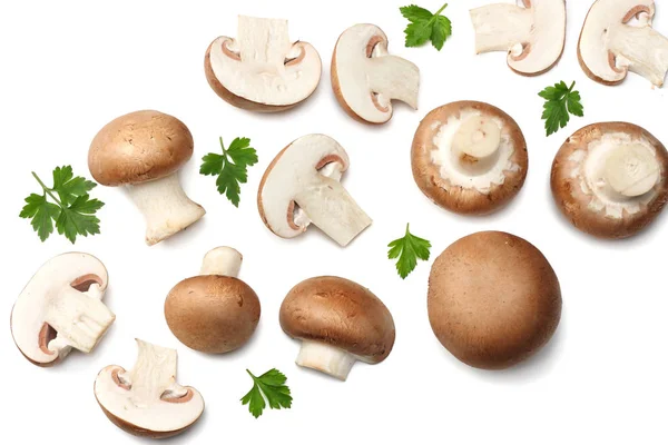 Taze champignon izole üzerinde beyaz arka plan mantar. üstten görünüm