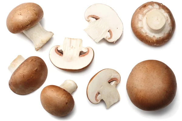 Taze champignon izole üzerinde beyaz arka plan mantar. üstten görünüm