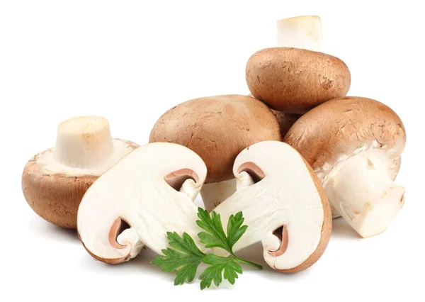 Beyaz arka planda izole edilmiş taze şampiyon mantarları