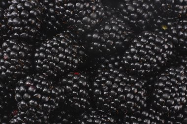 sağlıklı arka plan. BlackBerry doku. böğürtlen arka plan. meyve arka plan.