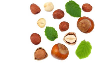 Beyaz arka planda yaprakları olan fındıklar. en üstteki görünüm