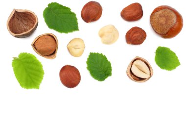 Beyaz arka planda yaprakları olan fındıklar. en üstteki görünüm