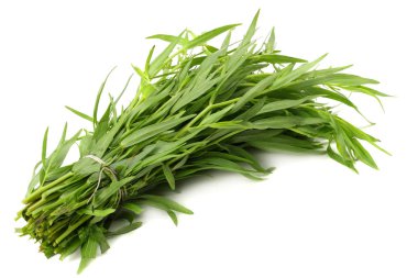 Beyaz arka plan üzerinde izole tarhun yaprak (Artemisia dracunculus)