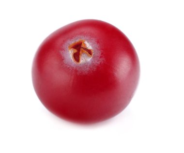 Beyaz arka planda izole edilmiş bir kızılcık. makro