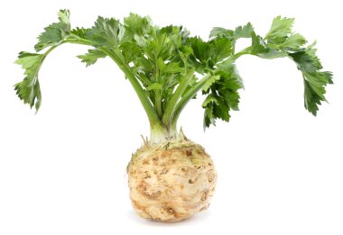 kereviz yaprağı beyaz arka plan üzerinde izole. Beyaz izole kereviz. Sağlıklı gıda