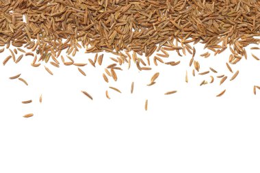 Kimyon ya da kimyon tohumları beyaz arka planda izole edilmiş. Üst görünüm