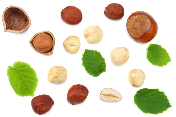 Hazelnuts Leaves Isolated White Background Top View — Stock Photo, Image