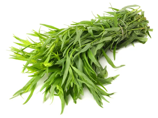 Tarragon Leaves Artemisia Dracunculus Isolated White Background — Stock Photo, Image