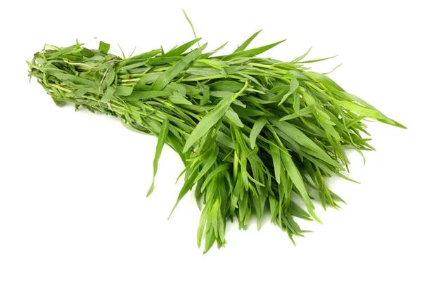 Estragonblätter Artemisia Dracunculus Isoliert Auf Weißem Hintergrund — Stockfoto