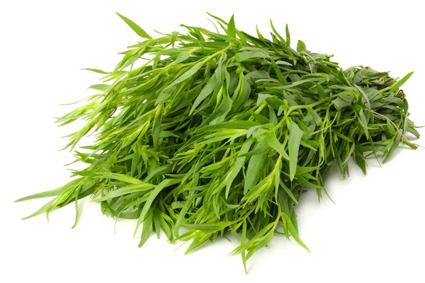 Dragon Blad Artemisia Dracunculus Isolerade Vit Bakgrund — Stockfoto