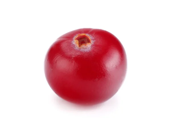 Satu Cranberry Diisolasi Dengan Latar Belakang Putih Makro — Stok Foto